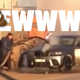 Illustration for article titled Burning BMW Extinguished With Gushing Liquid Shit